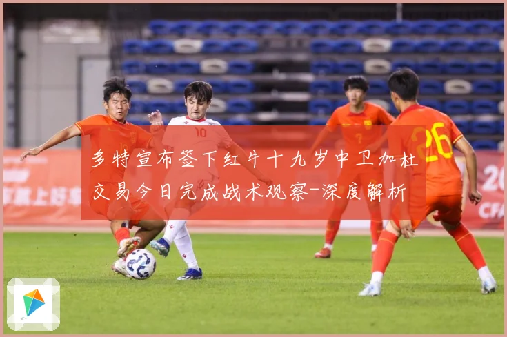 多特宣布签下红牛十九岁中卫加杜交易今日完成战术观察-深度解析