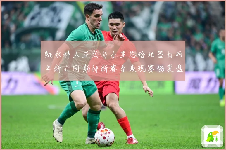 凯尔特人正式与小罗恩哈珀签订两年新合同期待新赛季表现赛场复盘-深度解析