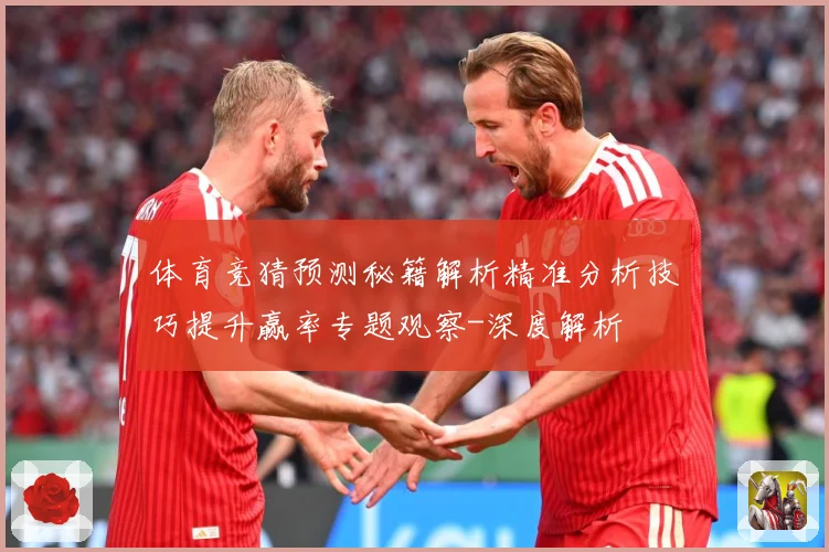 体育竞猜预测秘籍解析精准分析技巧提升赢率专题观察-深度解析