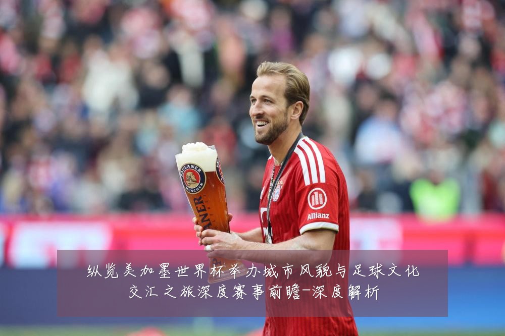 纵览美加墨世界杯举办城市风貌与足球文化交汇之旅深度赛事前瞻-深度解析
