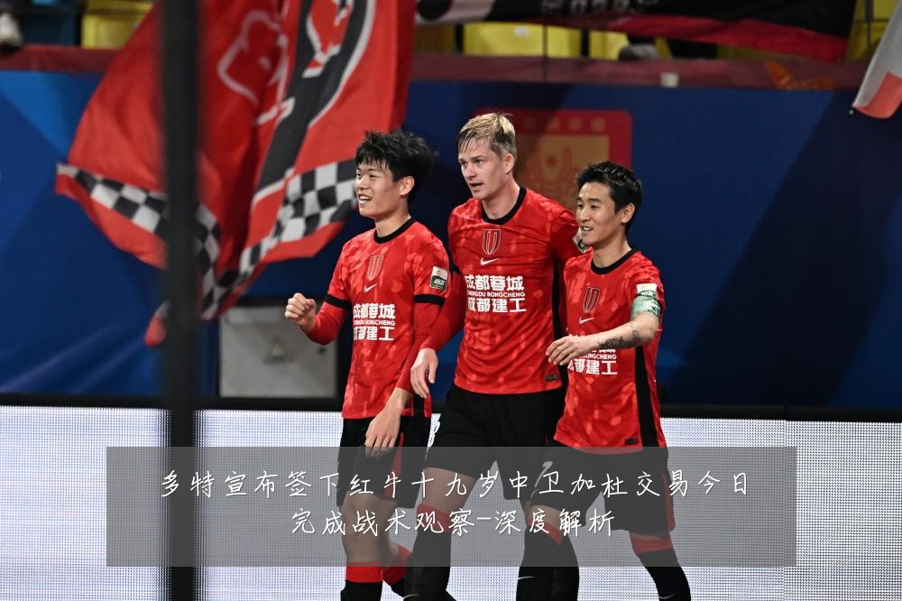 多特宣布签下红牛十九岁中卫加杜交易今日完成战术观察-深度解析