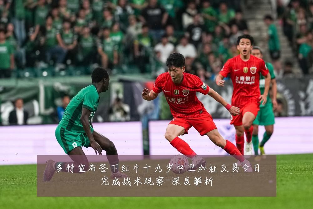 多特宣布签下红牛十九岁中卫加杜交易今日完成战术观察-深度解析